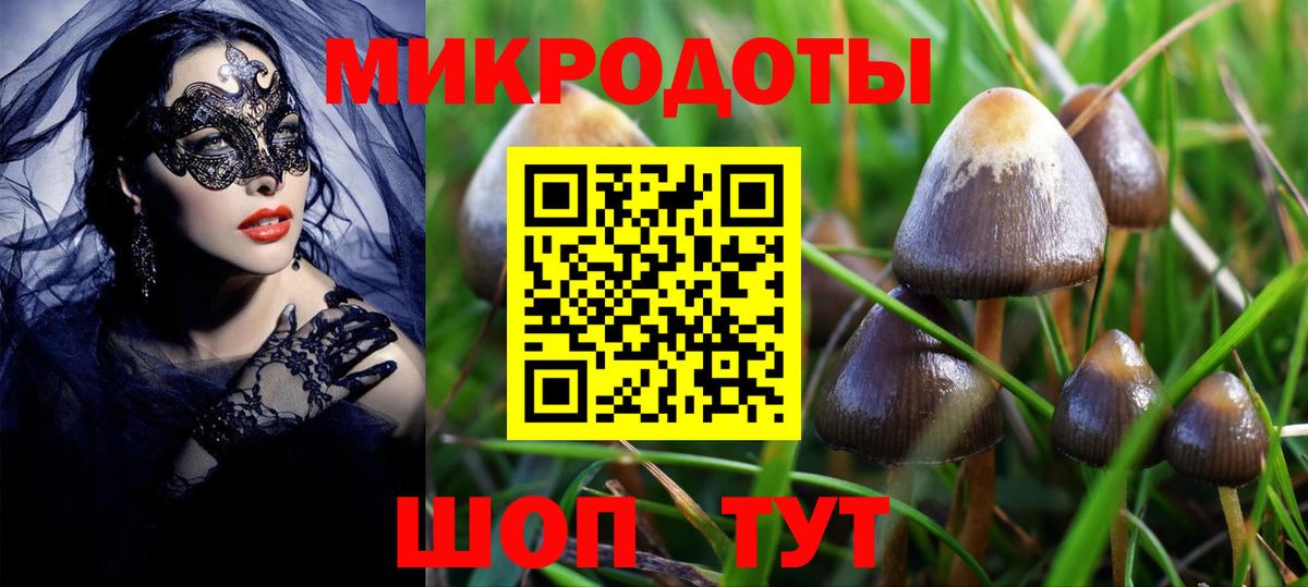 Псилоцибиновые грибы Psilocybe  Вход с VPN  Можга  где можно купить   Галлюциногенные грибы Psilocybe 